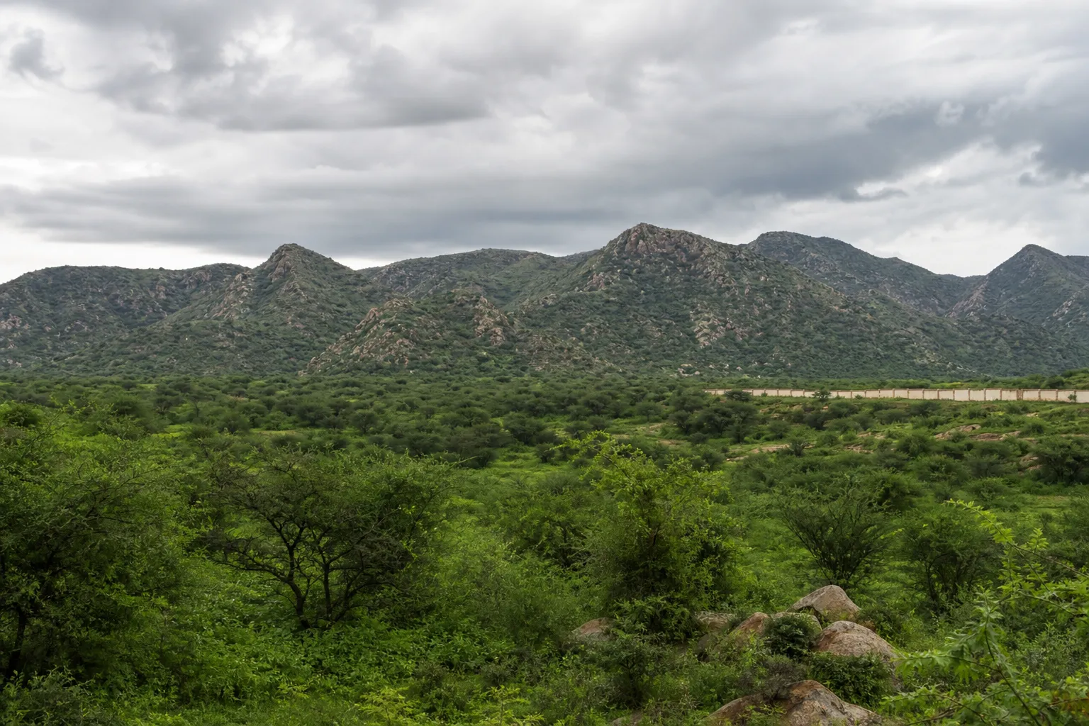 NGT Seeks Environment Ministry Reply in Raisina Aravalis Proceedings