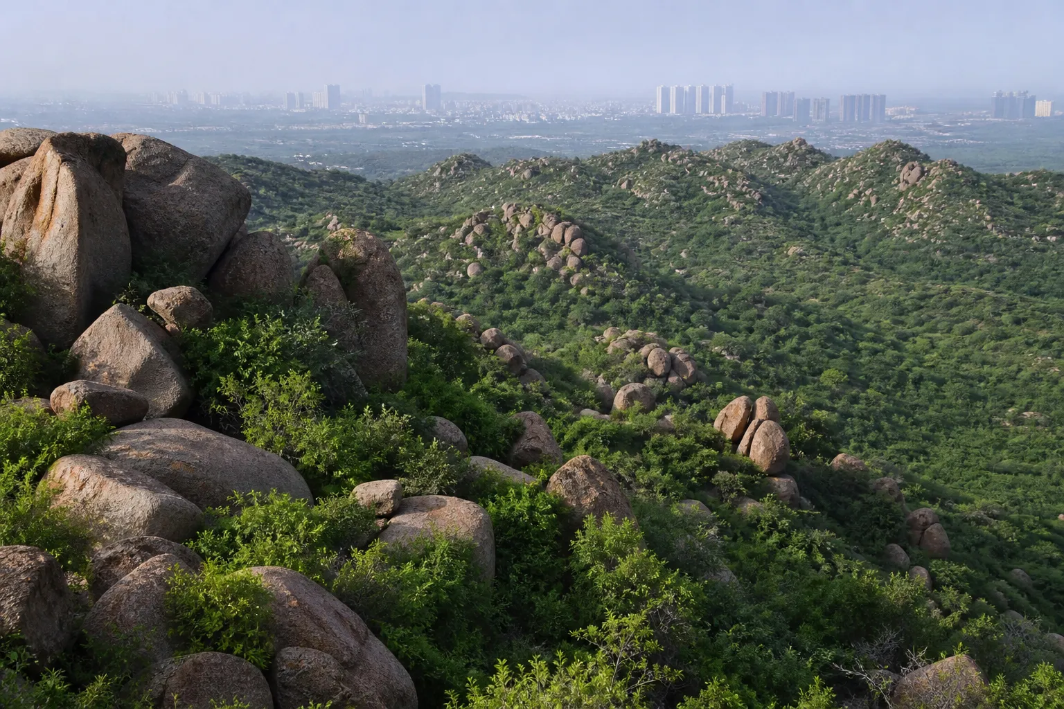 Aravalli Consultation in Gurugram Puts Mapping Science and Ecological Protection Side by Side