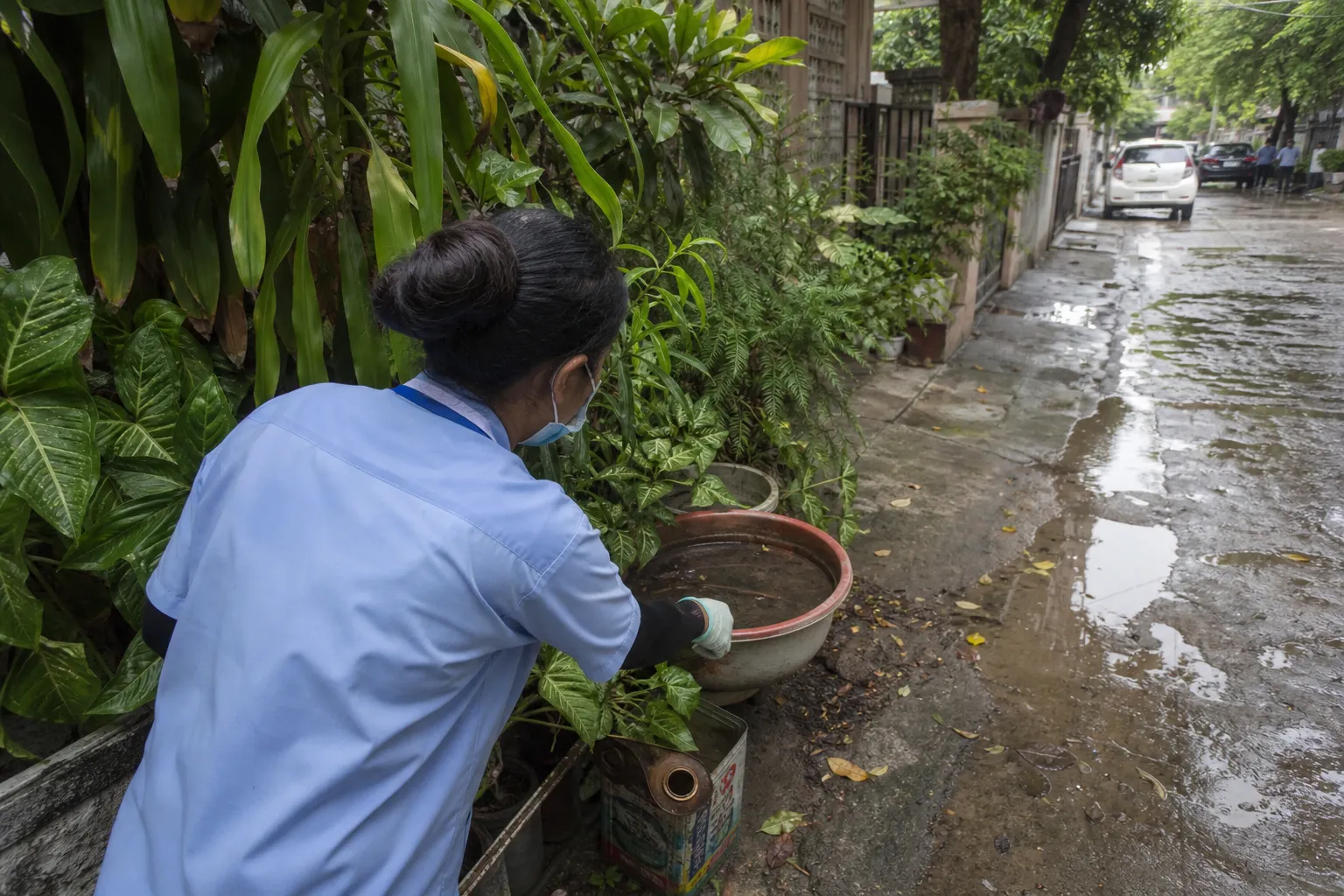 Public health worker checking stagnant water for mosquito larvae in a Gurugram neighbourhood