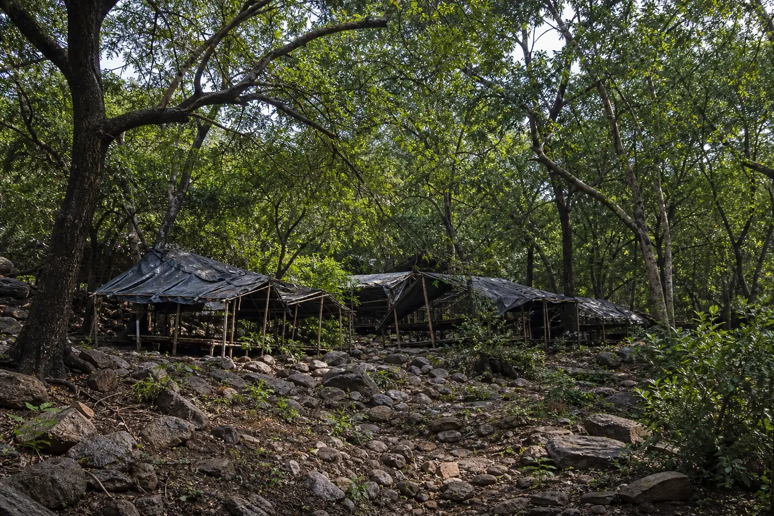 Two-Acre Settlement Inside Mangar Bani Buffer Triggers Three-Day Eviction Warning