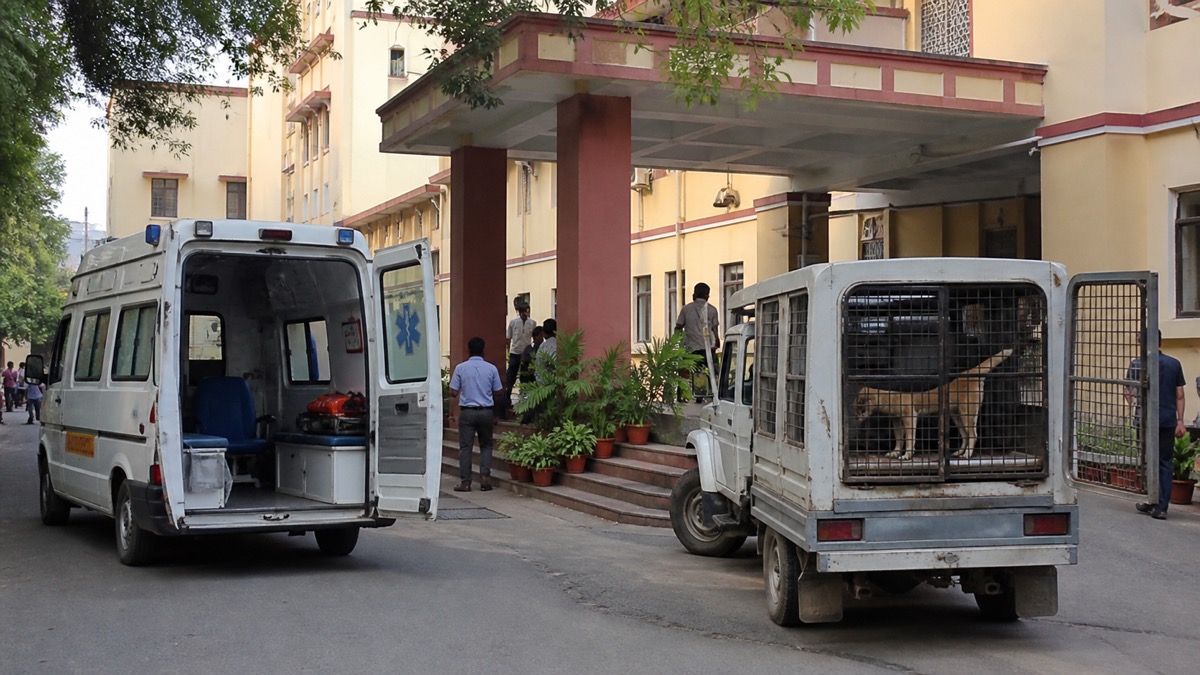 BHU hospital entrance and animal-control response vehicle after a campus dog attack