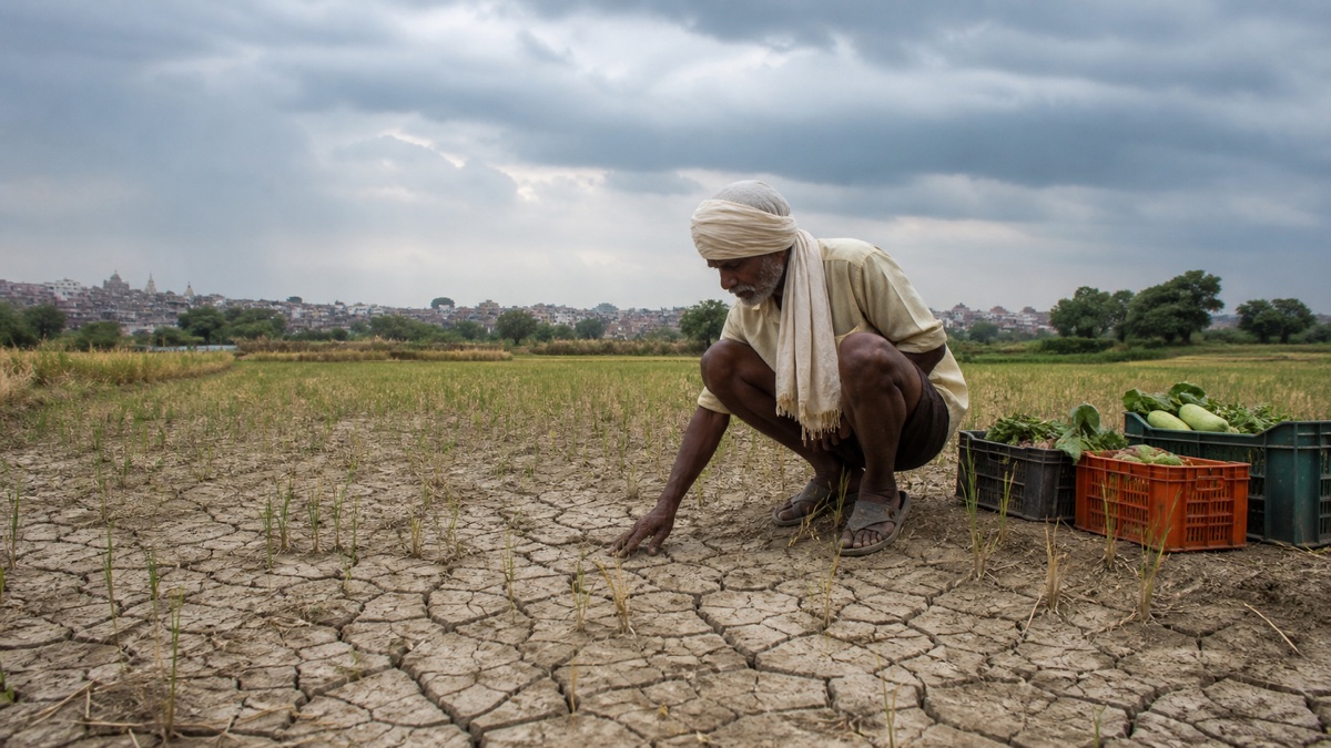 Varanasi Records 33% Monsoon Rainfall Deficit Through August 15, Raising Farm Concerns