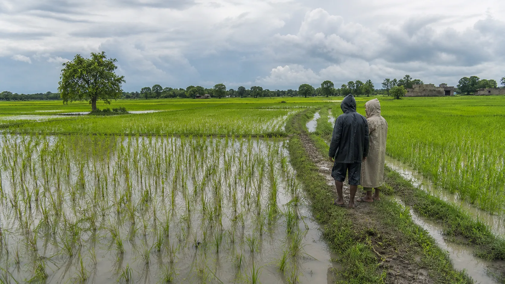August Rainfall in Varanasi Hits 35-Year High, Erases July Deficit