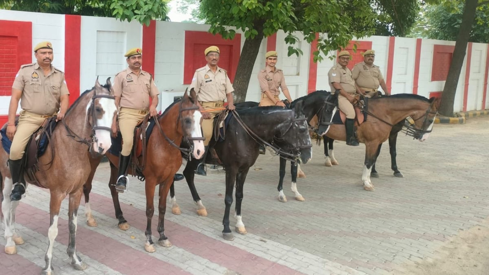 Inside Varanasi Police's Nine-Horse Mounted Unit and Its Daily Drill
