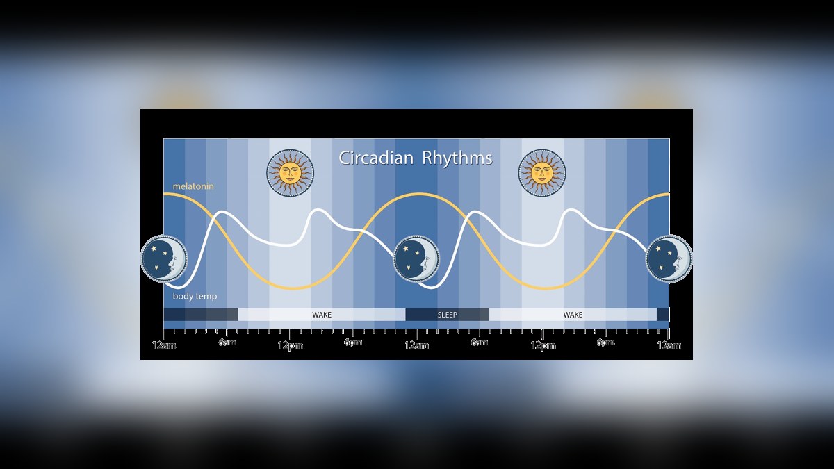 How much sleep do adults need? Hours by age